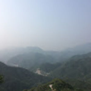 Meet your Posher, Muriel